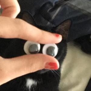 Meet your Posher, Trudith